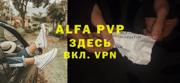 хмурый Белокуриха
