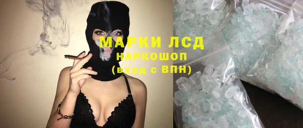 хмурый Белокуриха