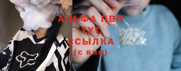 хмурый Белокуриха
