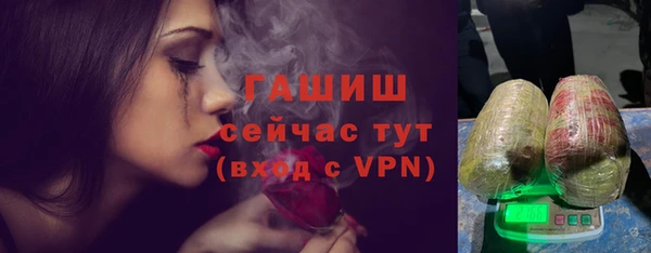 хмурый Белокуриха