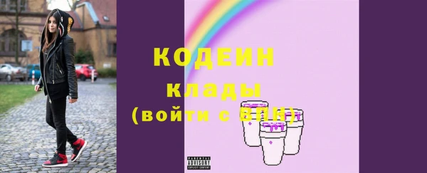 хмурый Белокуриха