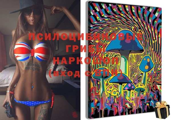 ПСИЛОЦИБИНОВЫЕ ГРИБЫ Беломорск
