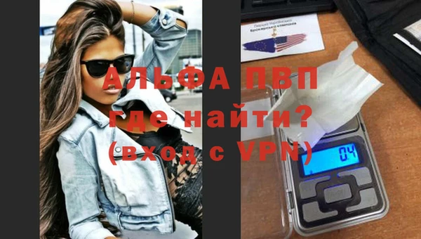 хмурый Белокуриха