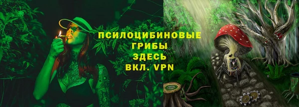 хмурый Белокуриха