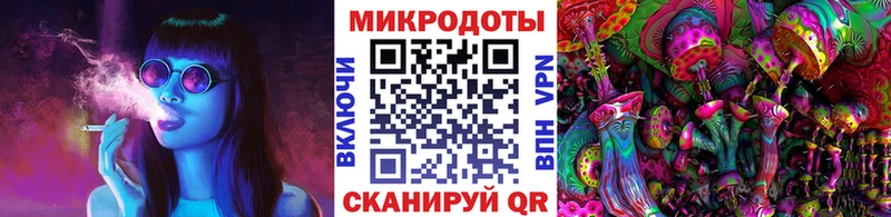 darknet состав  как найти закладки  Курильск  Псилоцибиновые грибы Psilocybine cubensis 